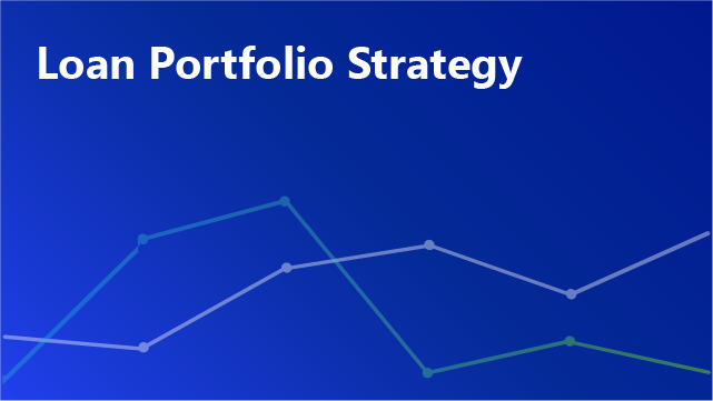 Loan Portfolio Strategy